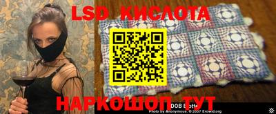 гидра Краснодар