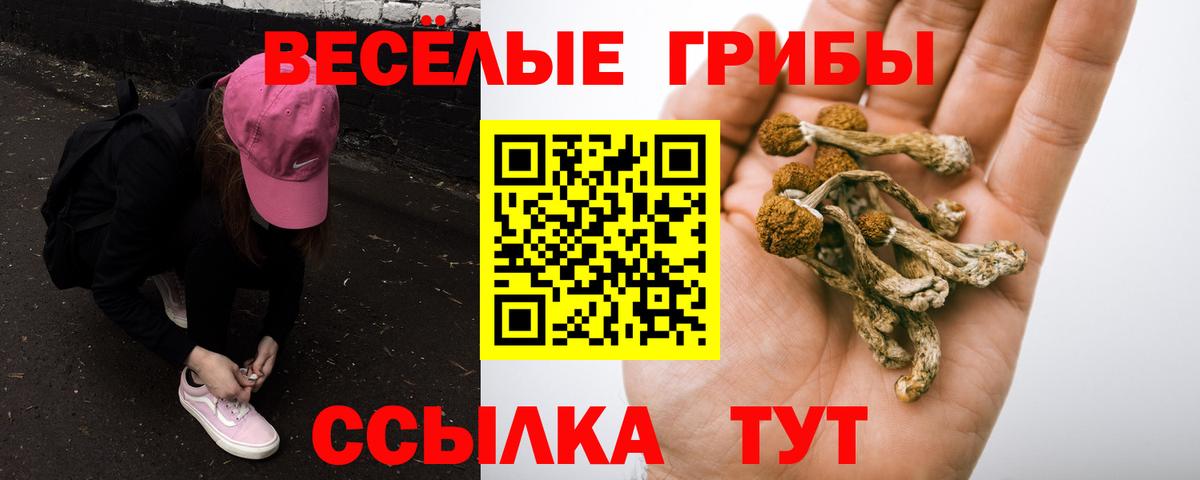 Галлюциногенные грибы Psilocybe  Вход с VPN  Ишимбай 