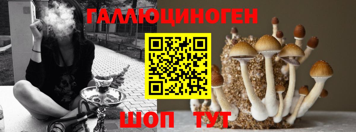 Галлюциногенные грибы мицелий Ишимбай